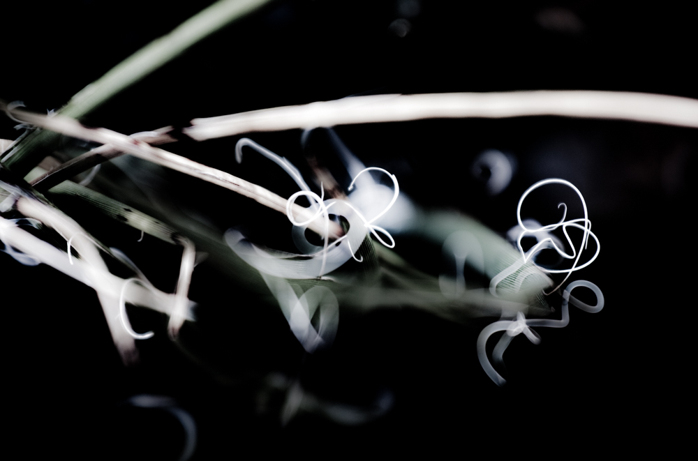 Flora 03
