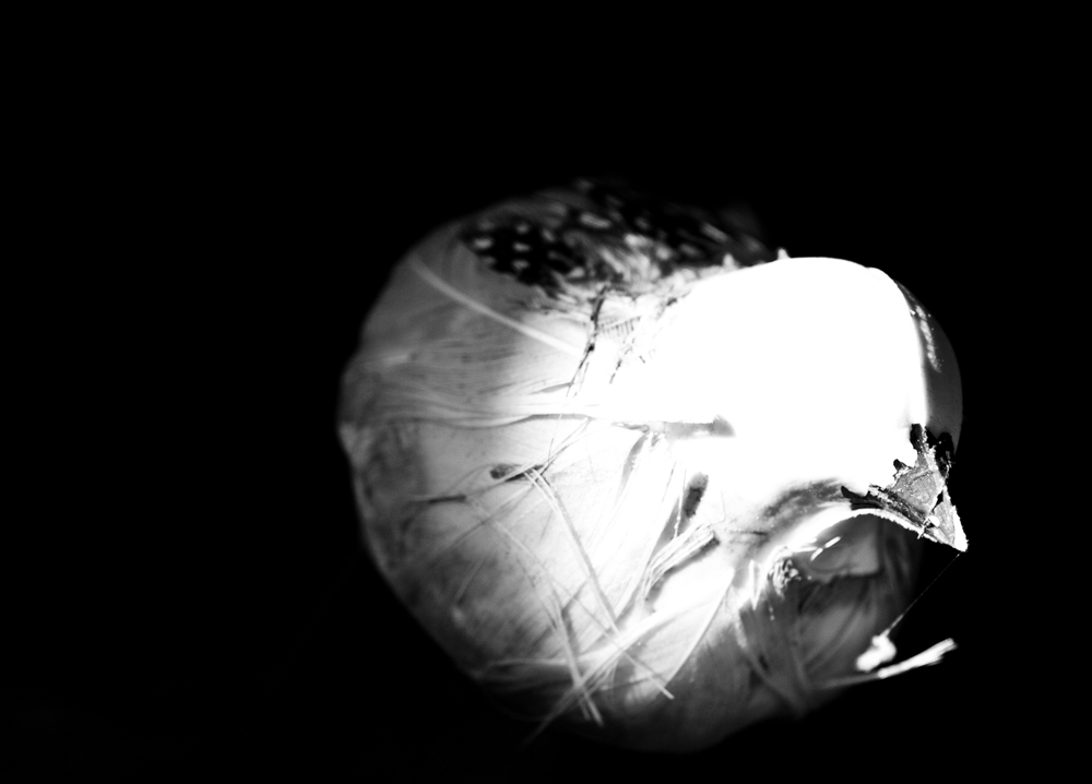 Objects 08